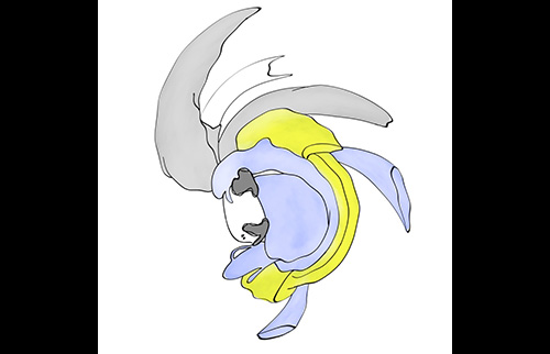 前髪ぱっつん少年